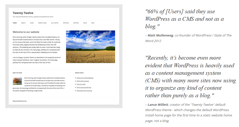 Image showing the WordPress Twenty Twelve theme. It also shows some stats that how people are using WordPress.